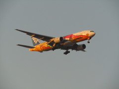 飛行機を眺めて　28