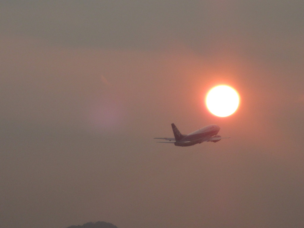 朝日を受けて離陸するドルフィン