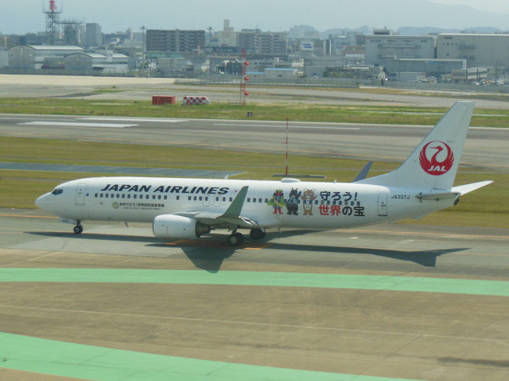 JAL  B737-800 守ろう！世界の宝のラッピング　②