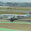 JAL  B737-800 守ろう！世界の宝のラッピング　②
