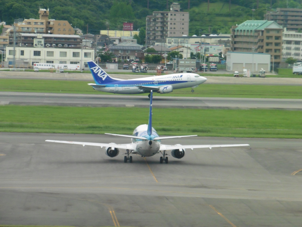 2機のANA　B737-500　ドルフィン