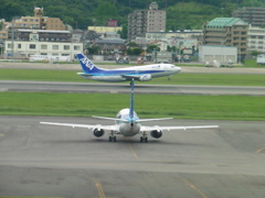 2機のANA　B737-500　ドルフィン