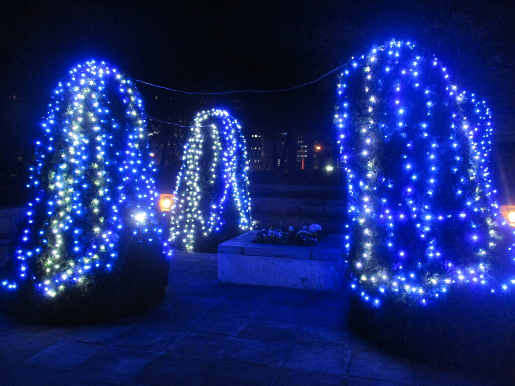 百道浜クリスマスイルミネーション　⑥