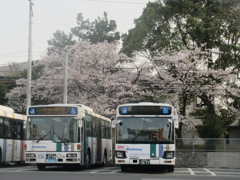 大濠公園にて　⑨