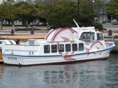 博多港に停泊の面白い船