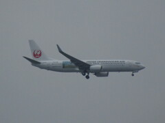 JTA  B737-800