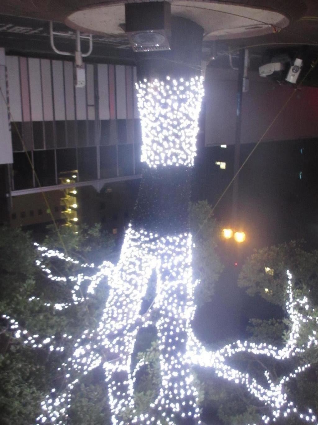 今だ残るクリスマスイルミネーション