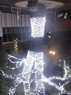 今だ残るクリスマスイルミネーション