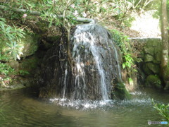 池に流れ落ちる湧き水