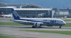 ANA　B787到着
