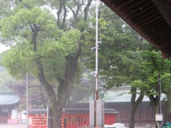 降り続く雨①