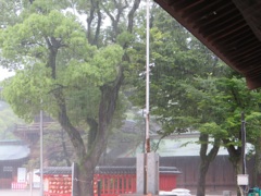 降り続く雨①