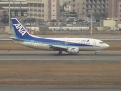 ANA　B737ドルフィン着陸