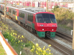 菜の花とハウステンボス号