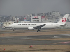 JAPAN AIRLINES  B767-300