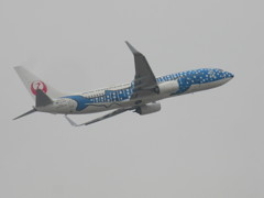JTA  737-800  JA05RK