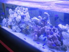 博多シティでの天空の水族館⑧