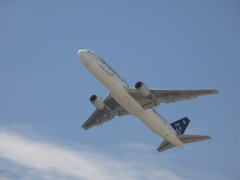 ASIANA　B767　スターアライアンスの離陸