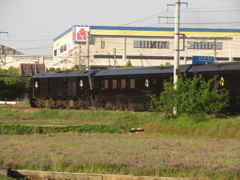 走るななつ星③