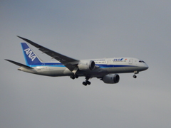ANA  787-8  JA810A