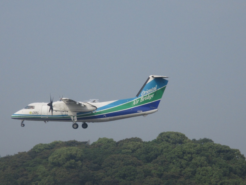オリエンタルエアブリッジの着陸