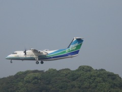 オリエンタルエアブリッジの着陸