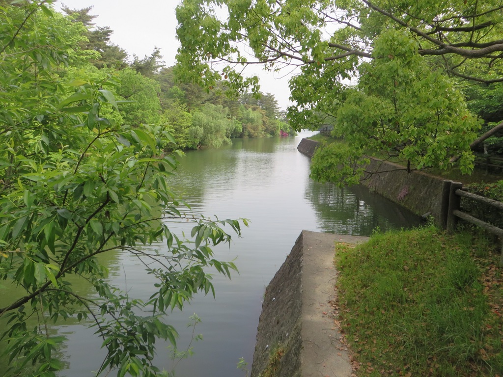 池と豊かなの緑の光景①