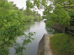池と豊かなの緑の光景①