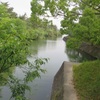 池と豊かなの緑の光景①