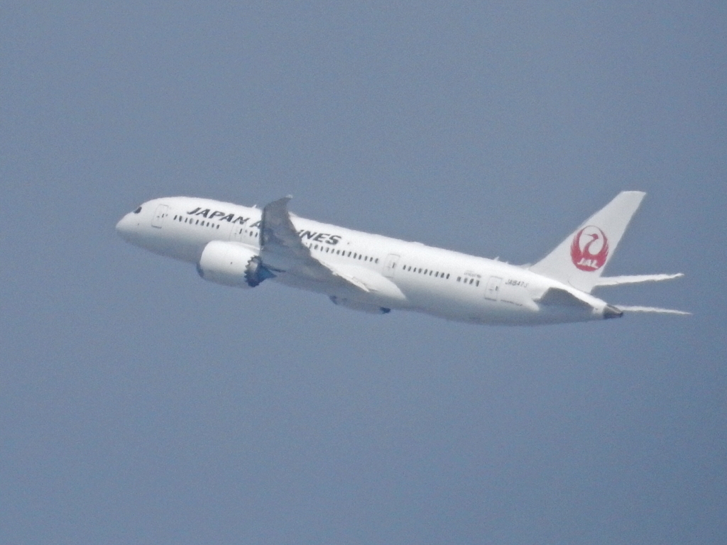 JAL  B787-8  福岡空港離陸