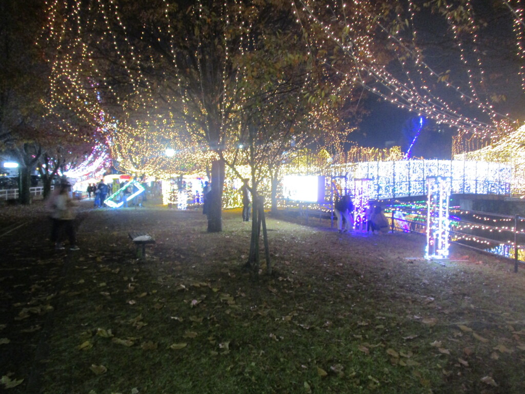 佐賀県鳥栖市中央公園のイルミネーション　㉑