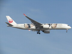 JAL  JA04XJ　福岡空港