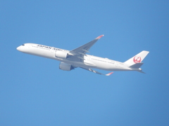 JAL  A350　福岡空港離陸