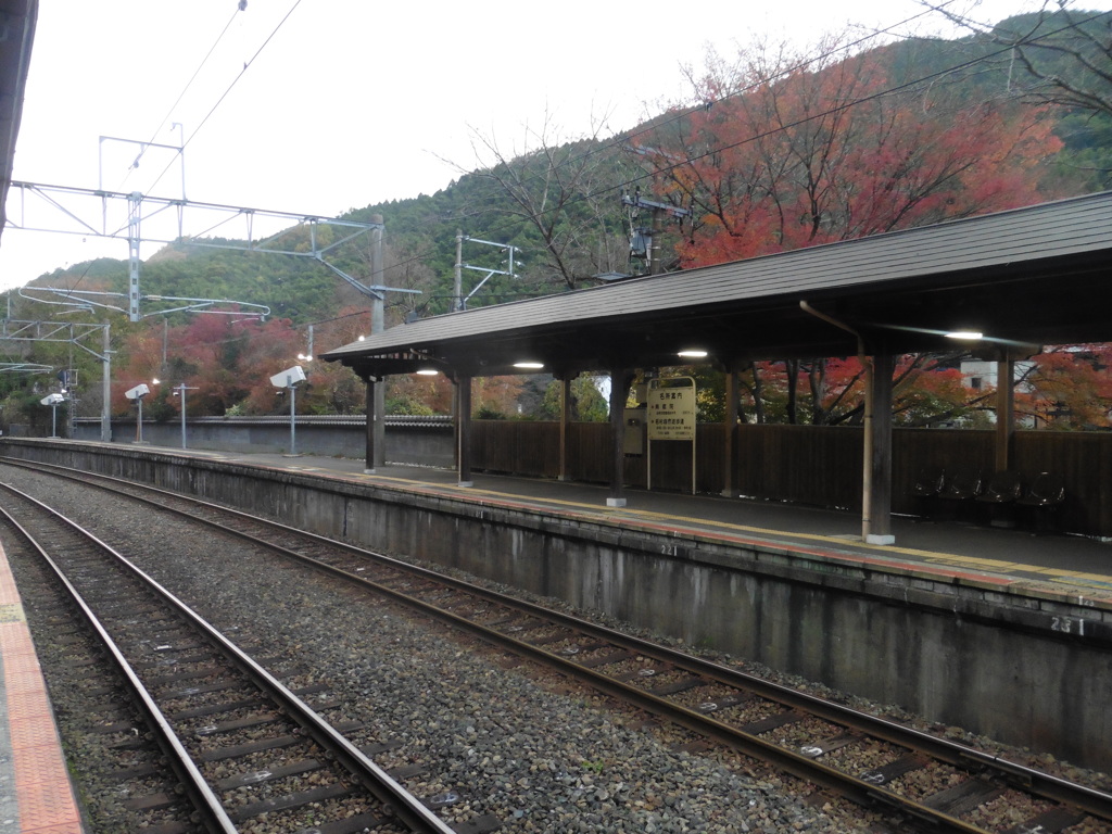 紅葉と駅の光景