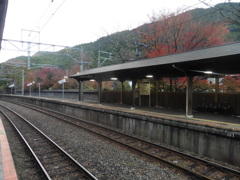 紅葉と駅の光景