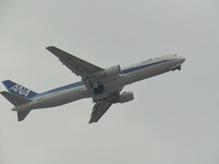 ANA  B767-300  JA608Aの離陸