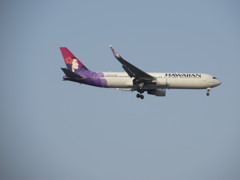 ハワイアン航空