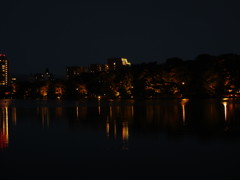 夜の大濠公園　②