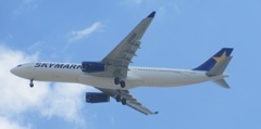 SKYMARK  A330