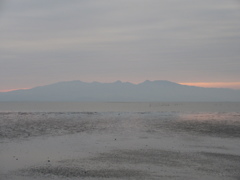 荒尾干潟と島原半島②