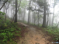 霧と山道②