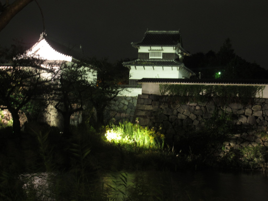 夜の福岡城②