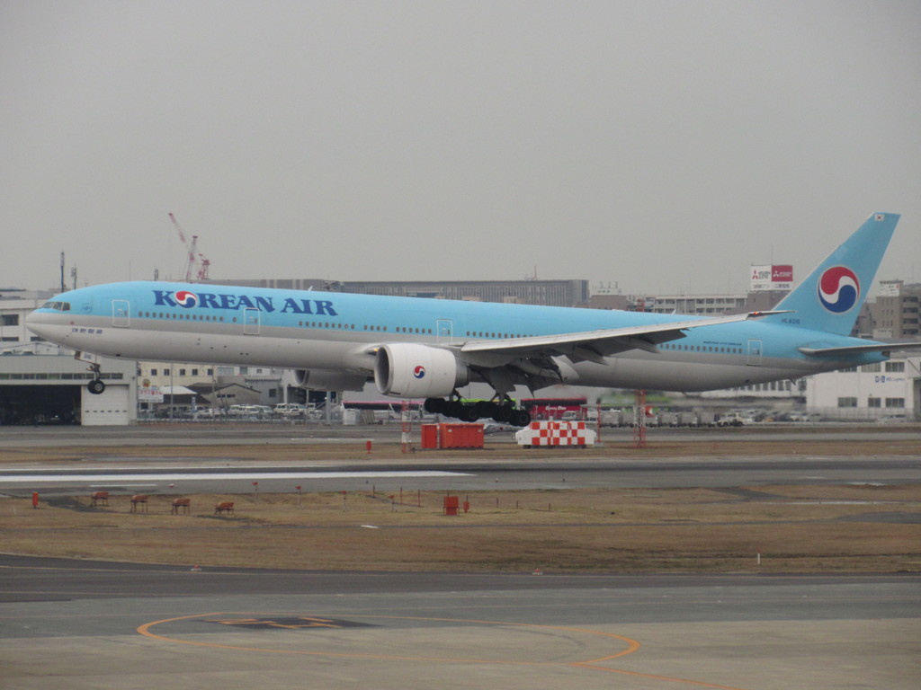 KOREAN AIR B777-300ER ①