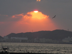 関門海峡にて①