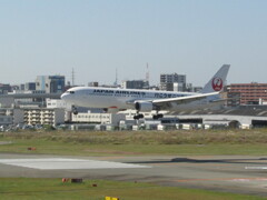 福岡空港ランディングのJAL  B767-300ER