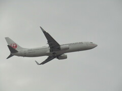 JAPAN TRANCE OCEAN B737-800  JA10RK 離陸