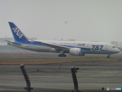 ANA  B787-8着陸