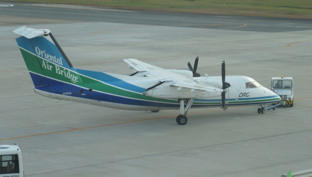 オリエンタルエアブリッジ