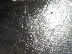 路上を流れる雪解け水③