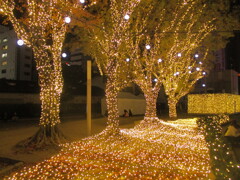 天神警固公園のイルミネーション　⑩